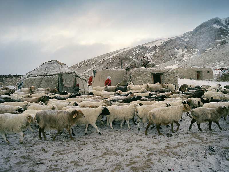 Dans Les Steppes De L Asie Centrale